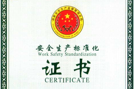 集團取得安全生產標準化三級企業(yè)證書